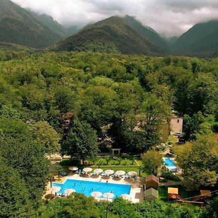 Wald Hotel Лаґодехі Екстер'єр фото