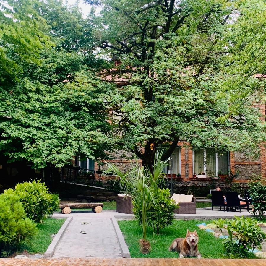 Wald Hotel Лаґодехі Екстер'єр фото