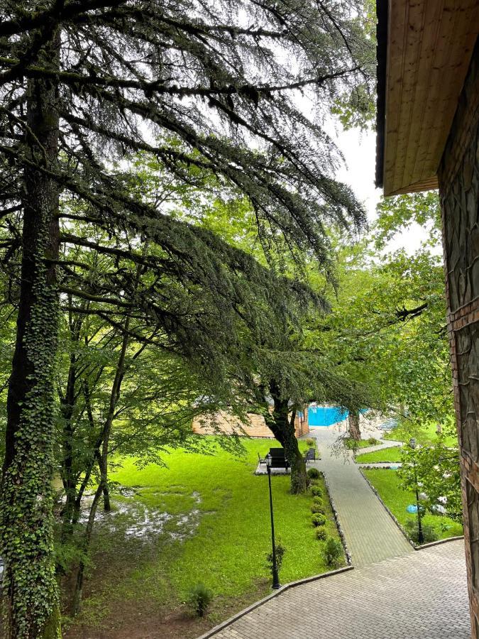 Wald Hotel Лаґодехі Екстер'єр фото