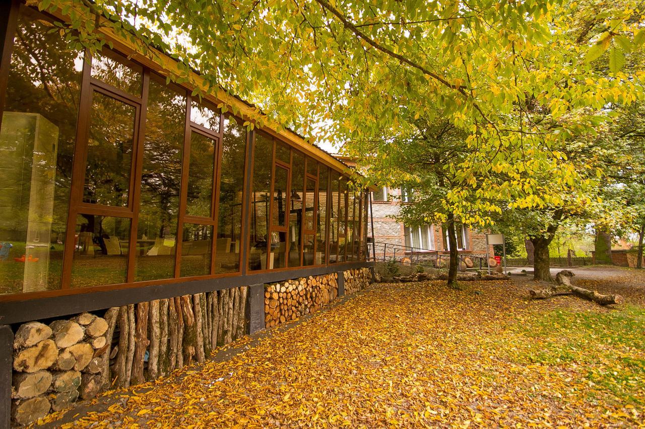 Wald Hotel Лаґодехі Екстер'єр фото