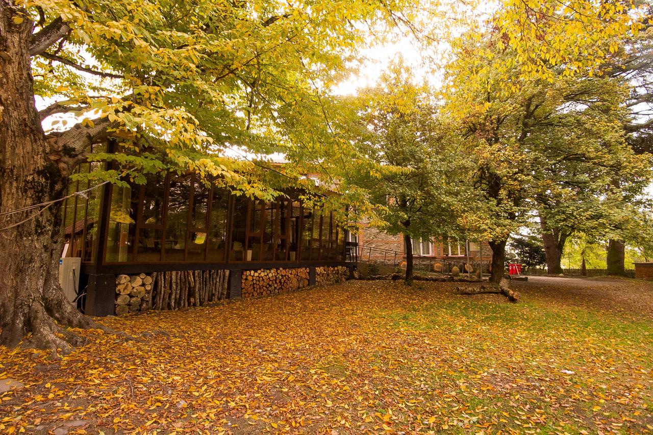 Wald Hotel Лаґодехі Екстер'єр фото