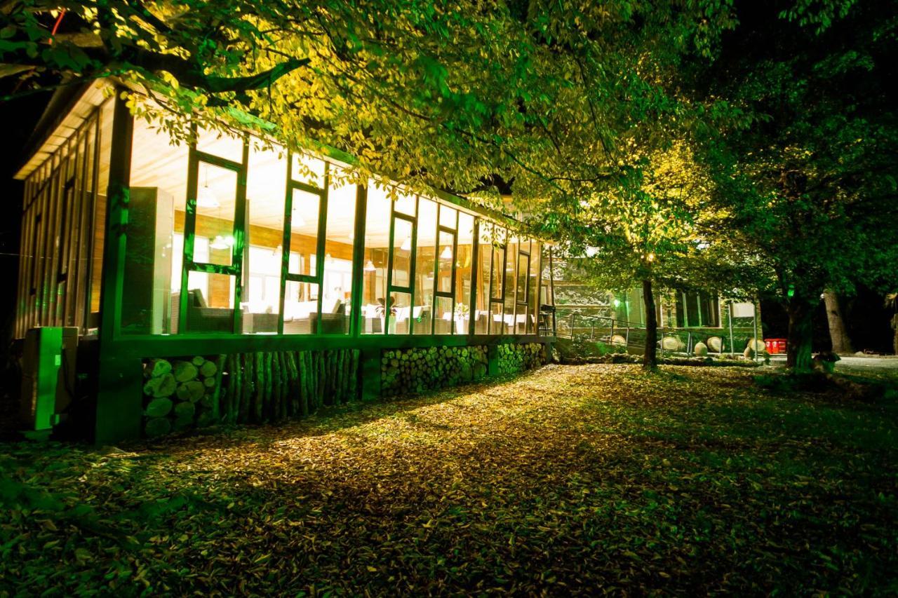 Wald Hotel Лаґодехі Екстер'єр фото